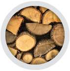 Cut logs stacked