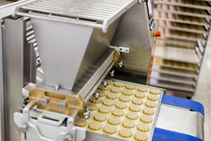 Food Conveyor Belt with Cookies