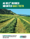 Rake Teeth Flyer
