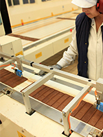 Chocolate Factory Worker