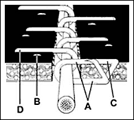 Clipper Belt Lacing Size Chart